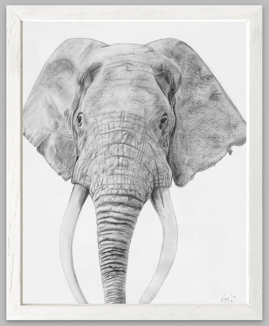 Stories In Every Line