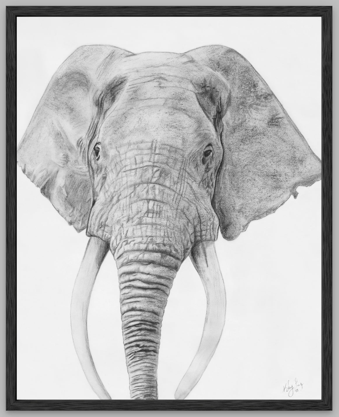 Stories In Every Line