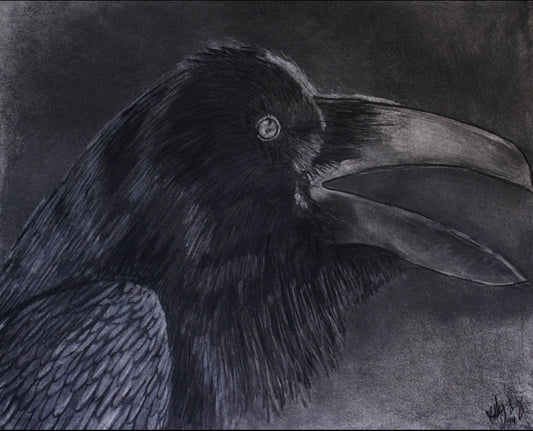 The Raven's Call